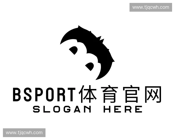 解读BSport体育官网